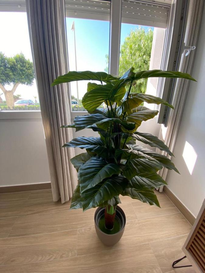 Sea Escape Apartman Almuñécar Kültér fotó